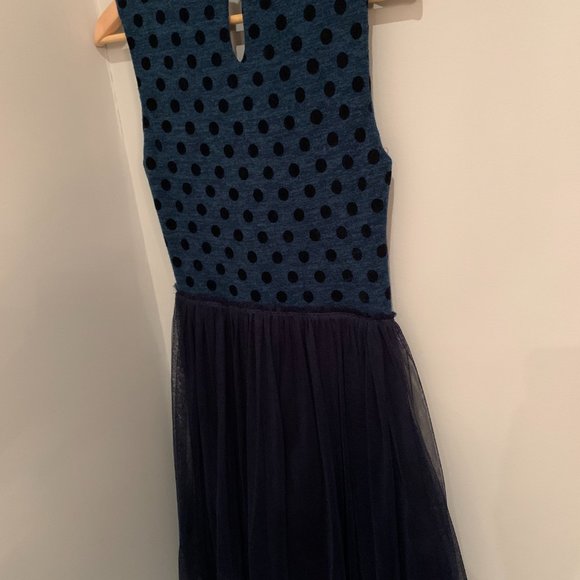 Anthropologie Polka Dot Tulle dress - Weston Wear Seasonger Dress - Picture 5 of 5